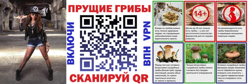 Галлюциногенные грибы Cubensis  Купить  Прокопьевск 